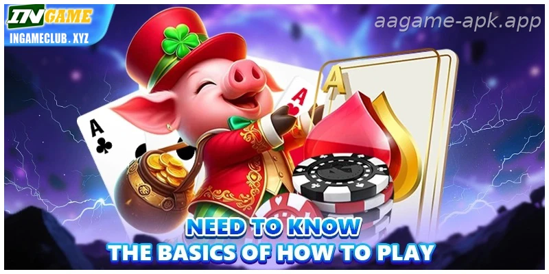 India Guide: Need to know the basics of how to play